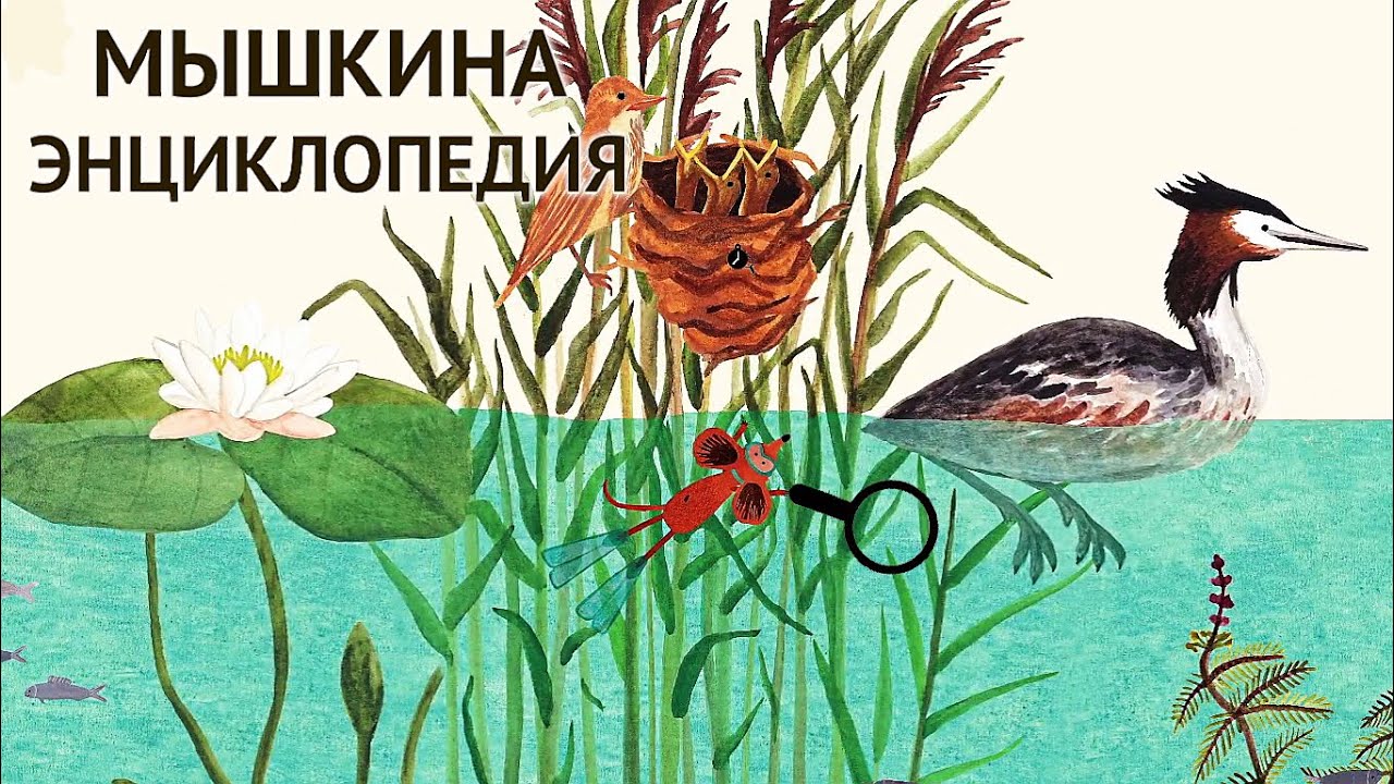 Мышкина Энциклопедия 3 - Пруд - Прохождение - Little Mouse's Encyclopedi 2019. (бЕз КоМмЕнТоВ =).