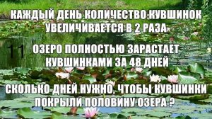 Тест на iq, ум и интеллект. Проверка разума и мозга на уровень интелекта. Пройти тест на мышление.