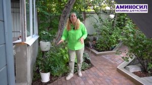 Переносим растения из сада в дом - что и как советует Марина Рыкалина.