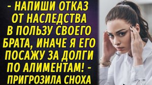 - Откажись от своей доли в квартире в пользу брата, или я посажу его за долги по алиментам!