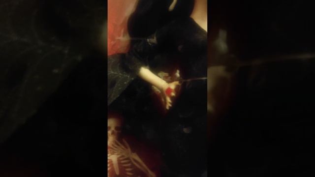 Приехала Эльвира и Виктория из Америки, небольшое видео) по Эльвире. смотреть онлайн