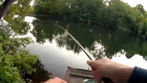 Разловил DUO realis jerkbait 100 от Bearking