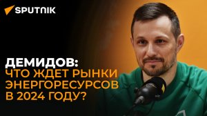 «Черные лебеди» в энергетике и новые санкции – прогноз экономиста Демидова на 2024 год