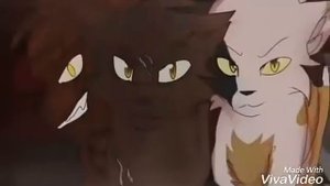 Коты Воители - День, ночь, руки прочь!