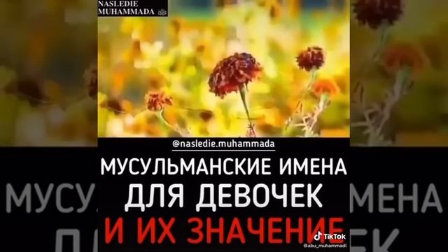 Исламские имена для девочек и их значение смотреть онлайн