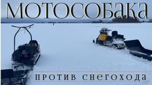 Мотобуксировщик для глубокого снега. Тонем в слуде!  Мотобуксировщик против снегохода..webm