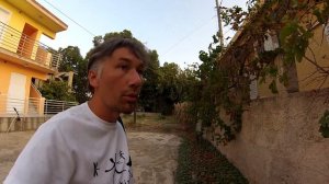 Как растет виноград в Греции.