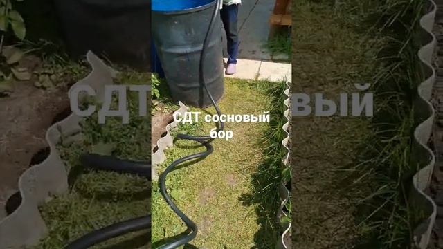 Абиссинская скважина сосновый бор гирсово