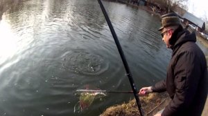 Тимка форель 28 03 15