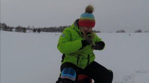 Рыбалка на окуня в глухозимье с пластиковым шнеком Тонар