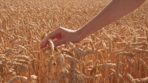 ПРОЩЕНИЕ. КАК ПРОСТИТЬ. НАСТРОЙ НА ПРОЩЕНИЕ (практика для женщин) #настройнадень