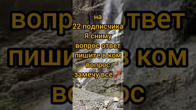 на 22 подписчика я сниму вопрос ответ пишите замечу всë🐾