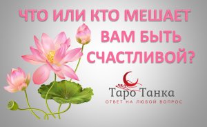 ЧТО ИЛИ КТО МЕШАЕТ ВАМ БЫТЬ СЧАСТЛИВОЙ. АНАЛИЗИРУЕМ С ПОМОЩЬЮ ТАРО. СПРОСИМ СОВЕТА У ВЫСШИХ СИЛ.