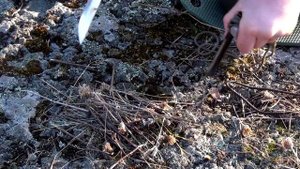 Огонь без спичек. Огниво и магний. Самодельное огниво.