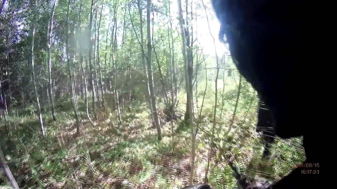 [СТАЛКЕРСТРАЙК] 5 сезон 1 серия