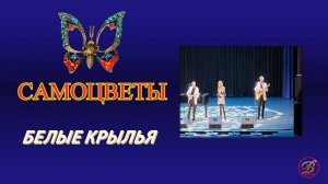 ВИА "Самоцветы" - Белые крылья