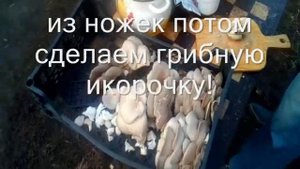 шашлык из вешенки