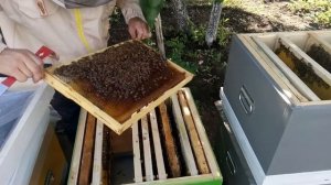 Ставим вторые корпуса