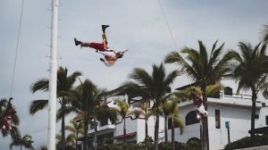 Pirate Music Playlist ?☠️  / Pirate Songs/ Pirate Song / Pirate Ship Party Music/ Kids Pirate Musi