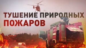 Тушение природных пожаров в Рязанской области — видео