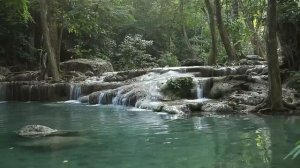 1 minute relaxing video with nature - A minute with nature-Flowing River