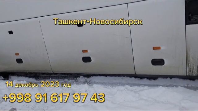 ташкент-новосибирск автобус￼ новосибирск-ташкент автобус￼  #tashkent #novosibirsk #avtobus￼