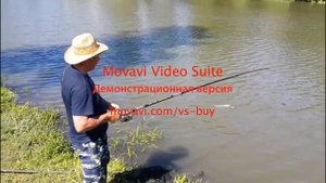 Ловля карпа в подмосковье.