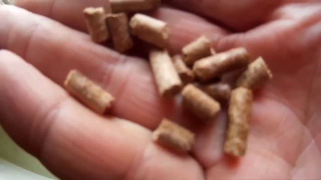 Куры несушки Супер корм 1 18 смотреть онлайн