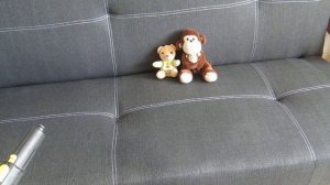 Чистка детских мягких игрушек пароочистителем