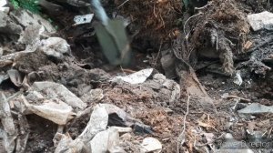 КОП МЕТАЛЛА,МЕДИ ,ЛАТУНИ ,АЛЮМИНИЯ .НАШЕЛ МНОГО МЕТАЛЛА И ЦВЕТНИНЫ.