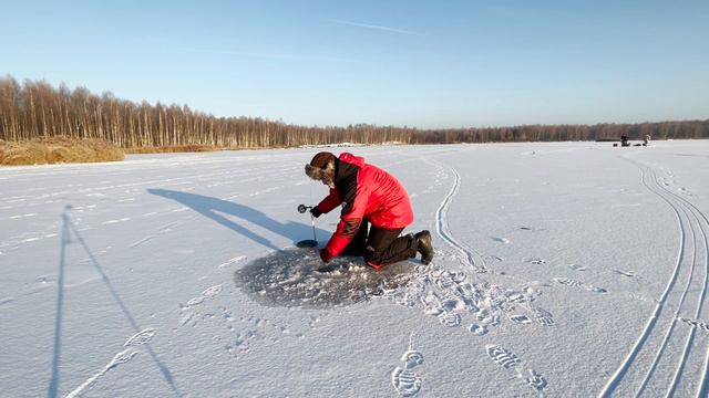Окунь по первому льду #окуньзимой