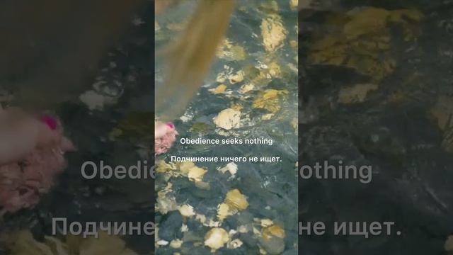 Дары любви