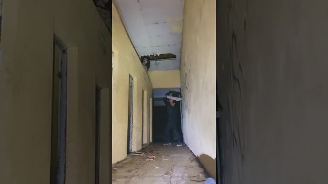 Бесстрашный