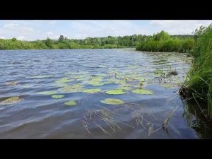 Озеро Старица