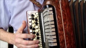 Шумел камыш - на баяне (застольно-кухонный вариант с мини-проигрышем)