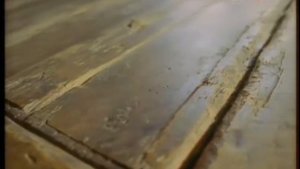 Мировые сокровища культуры. Айслебен и Виттенберг. Германия