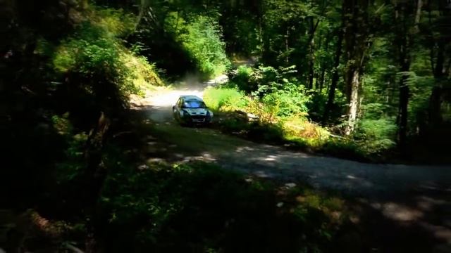 rally LUBENíK 2014 4RS-GRZYB Grzegorz POL 2 HUNDLA Robert- SKODA Fabia S2000 смотреть онлайн