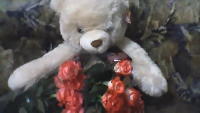 Видео с веб-камеры. Дата: 1 октября 2012 г., 19:07. смотреть онлайн