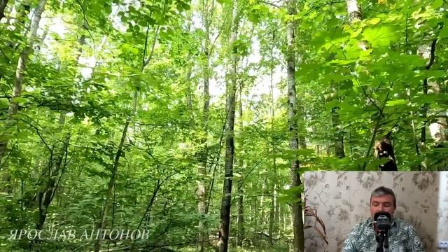 Изнанка судьбы. Ярослав Антонов смотреть онлайн