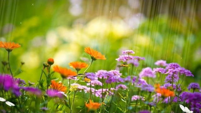 Проект по обществознанию смотреть онлайн