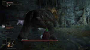 ▼ЕЛДАН РИНГ ?