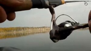 ловля щуки в костроме