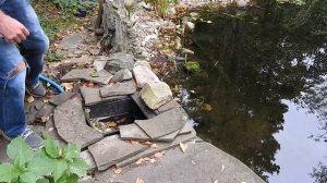 Скиммер для пруда Oase BioSys Skimmer +