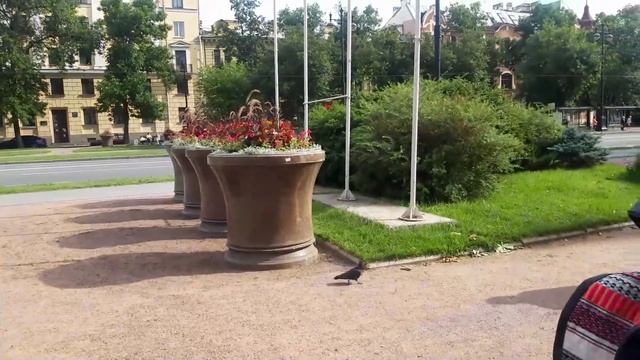 Васильевский остров - допетровский Питер. Ч.5