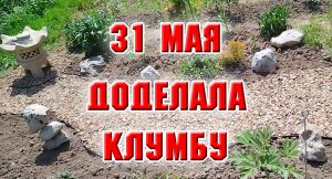 31 мая. Доделала свою клумбу. Смотрим, что получилось.