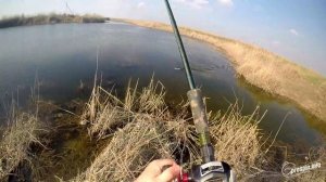 Первый змееголов в сезоне 2014. Ловля змееголова в Узбекистане. Snakehead Fishing in Uzbekistan.
