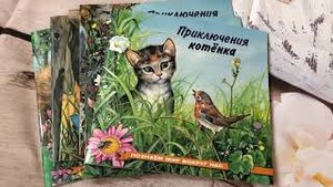 Обзор тонких книг о животных из серии Познаем мир вокруг нас