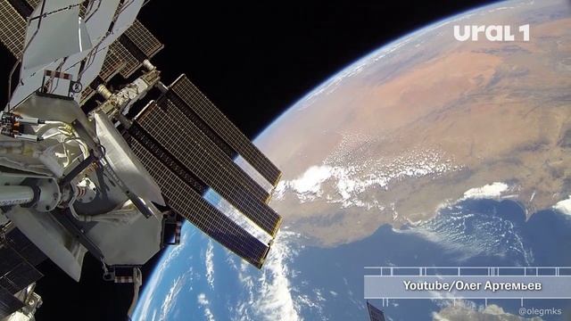 Едят творог с черносливом и меняют его мясо у амереканцев смотреть онлайн