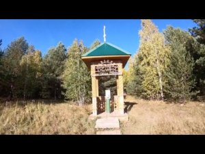 366 шейхов