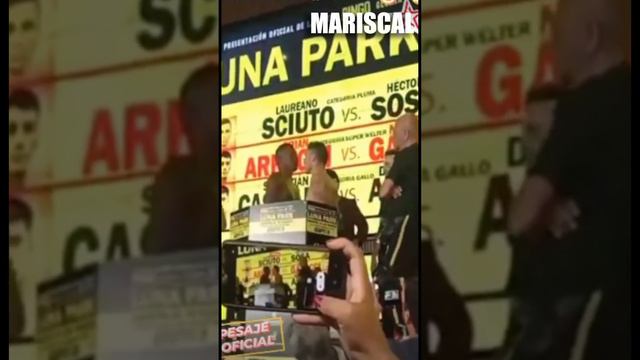 PELEA DE MARAVILLA MARTINEZ HOY